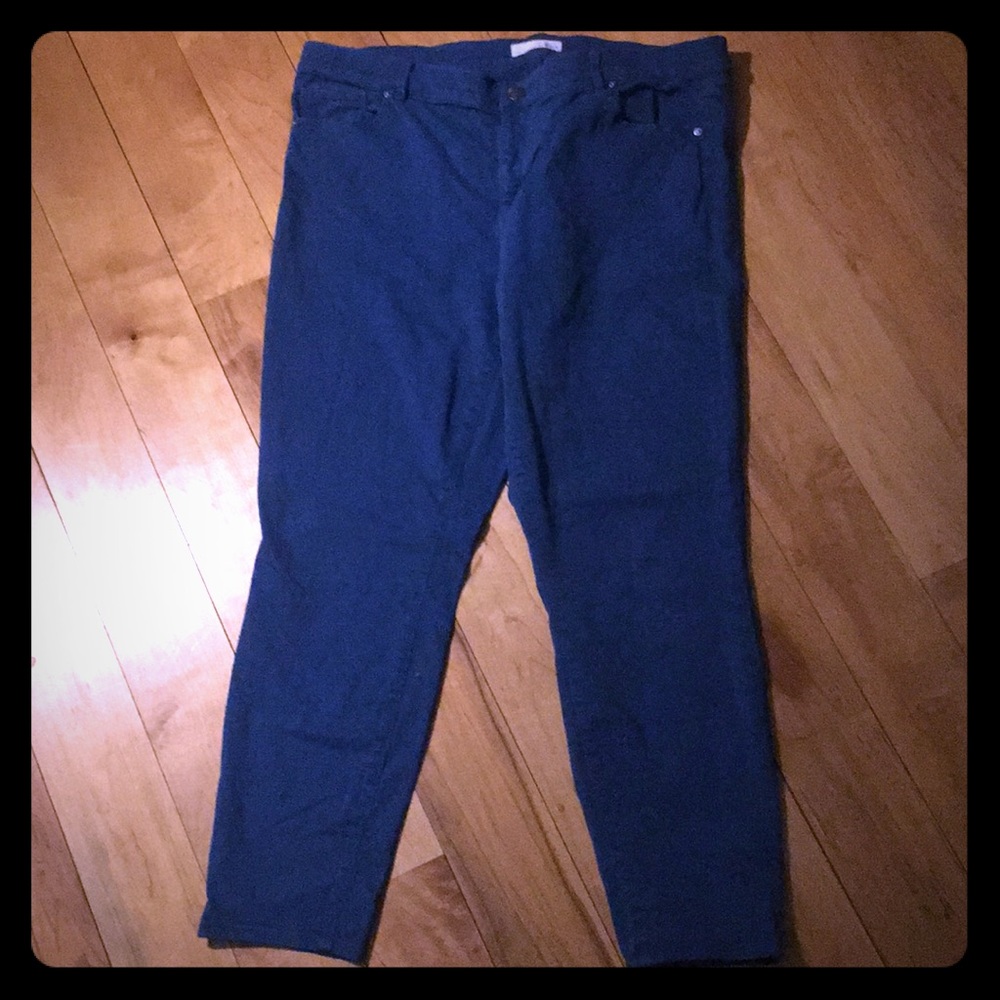 Loft cropped pant